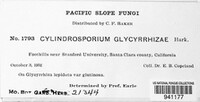 Cylindrosporium glycyrrhizae image
